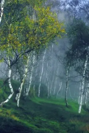 ปกนิยาย ฉันคิดว่าฉันหลงยุคแล้วล่ะค่ะ(ชื่อชั่วคราว)