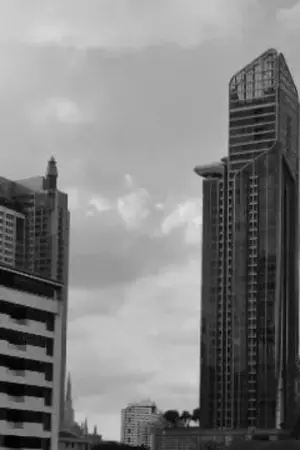 ปกนิยาย The Only One