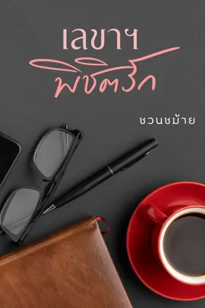 ปกนิยาย เลขา ฯ พิชิตรัก