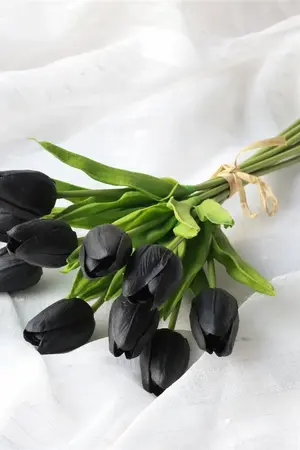 ปกนิยาย The death secret