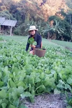 ปกนิยาย ครั้งหนึ่งเราเคยรักใคร