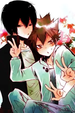 ปกนิยาย รักกับนายแวมไพร์ตัวป่วน(สึนะ×ฮิบาริ)