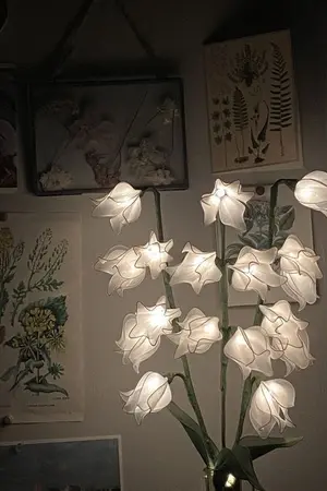 ปกนิยาย Diary Of Lily Of The Valley | บันทึกลิลลี่แห่งหุบเขา