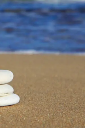 ปกนิยาย Calypso พันธนาการเกาะรัก (อ่านฟรีจนจบ ลงทุกวัน)