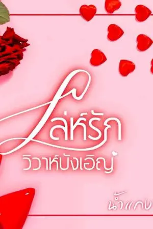 ปกนิยาย