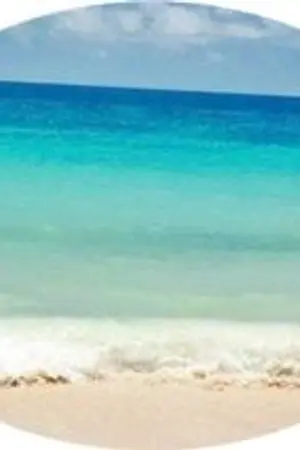 ปกนิยาย ลองมีรักอีกครั้ง (จบ)