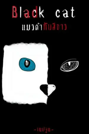 ปกนิยาย Bad black cat แมวดำกับสีขาว