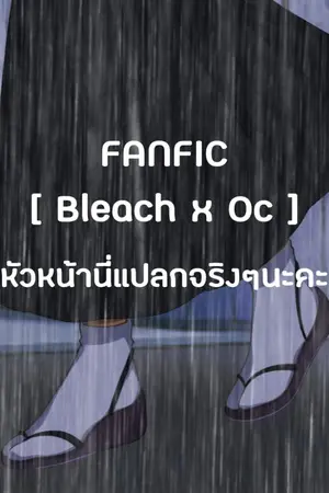 ปกนิยาย [ Bleach x OC ] หัวหน้านี่แปลกจริงๆนะคะ