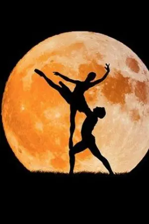 ปกนิยาย Honeymoon