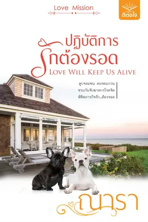 ปกนิยาย