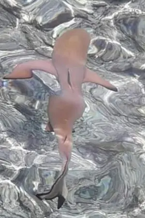 ปกนิยาย ประธานโหดตกบ่วงรัก