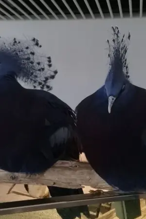 ปกนิยาย อยากให้เป็นเหมือนดั่งวันนั้น