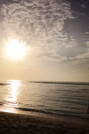 ปกนิยาย รักนี้ ฉันเลือกเอง