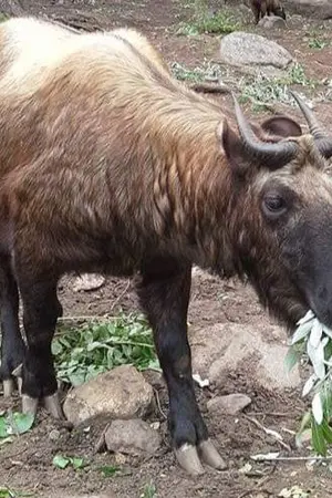 ปกนิยาย ไม่ใช่ฉันที่คุณต้องการ