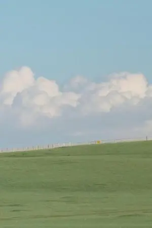 ปกนิยาย รักฟูมฟายของนายเปียกปอน