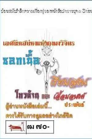 ปกนิยาย ซอกเนื้อ เรียมฉงน