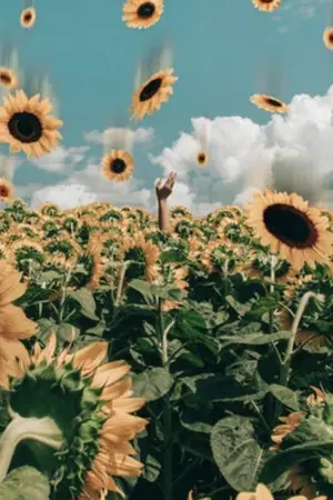 ปกนิยาย เกิดใหม่ครั้งนี้ขอกลับไปรักคุณ