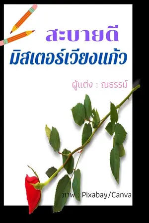 ปกนิยาย สะบายดี มิสเตอร์เวียงแก้ว