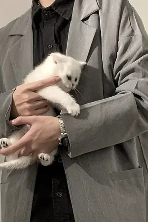 ปกนิยาย โคตรฉาว คีตา อักษร