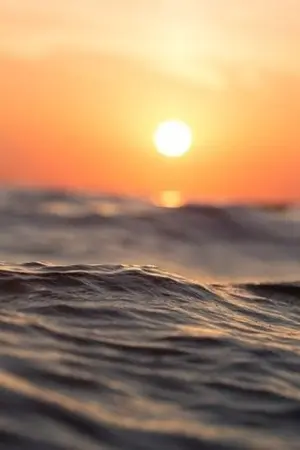 ปกนิยาย ยามตะวันลา