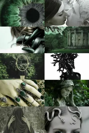 ปกนิยาย Fic Harry potter x oc