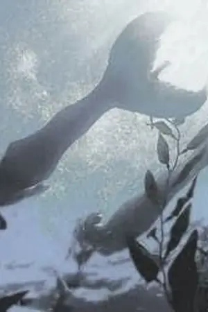 ปกนิยาย fic harry potter Song of the mermaids TMRxOC