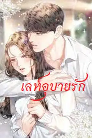 ปกนิยาย