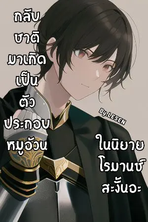 ปกนิยาย