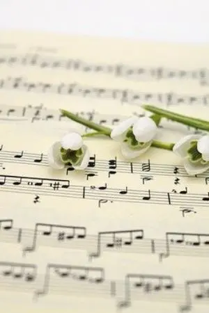 ปกนิยาย เมื่อฉันต้องกลายเป็นนักร้องจำเป็น