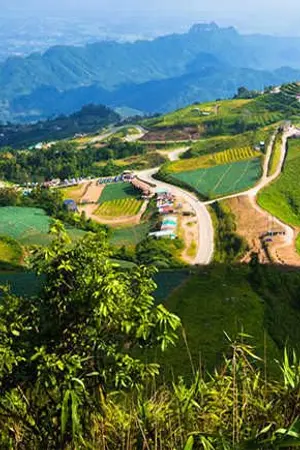 ปกนิยาย หวังไป่หลานฮูหยินบ้านป่า (ยังไม่เรียบเรียงใหม่)