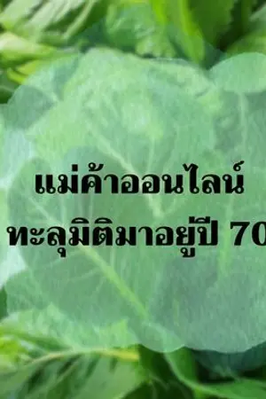 ปกนิยาย แม่ค้าออนไลน์ทะลุมิติมาอยู่ปี 70 (ยังไม่เรียบเรียงใหม่)
