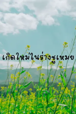 ปกนิยาย เกิดใหม่ในร่างชูเหมย