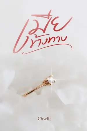 ปกนิยาย เมียข้างทาง