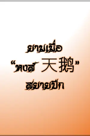 ปกนิยาย ยามเมื่อ "หงส์天鹅" สยายปีก