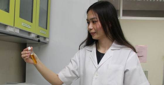 หลังจากเรียนจบสาขาวิชาสาธารณสุขศาสตร์  สามารถประกอบอาชีพ  นักวิชาการสาธารณสุข  นักวิชาการสิ่งแวดล้อม  นักชีวอนามัย