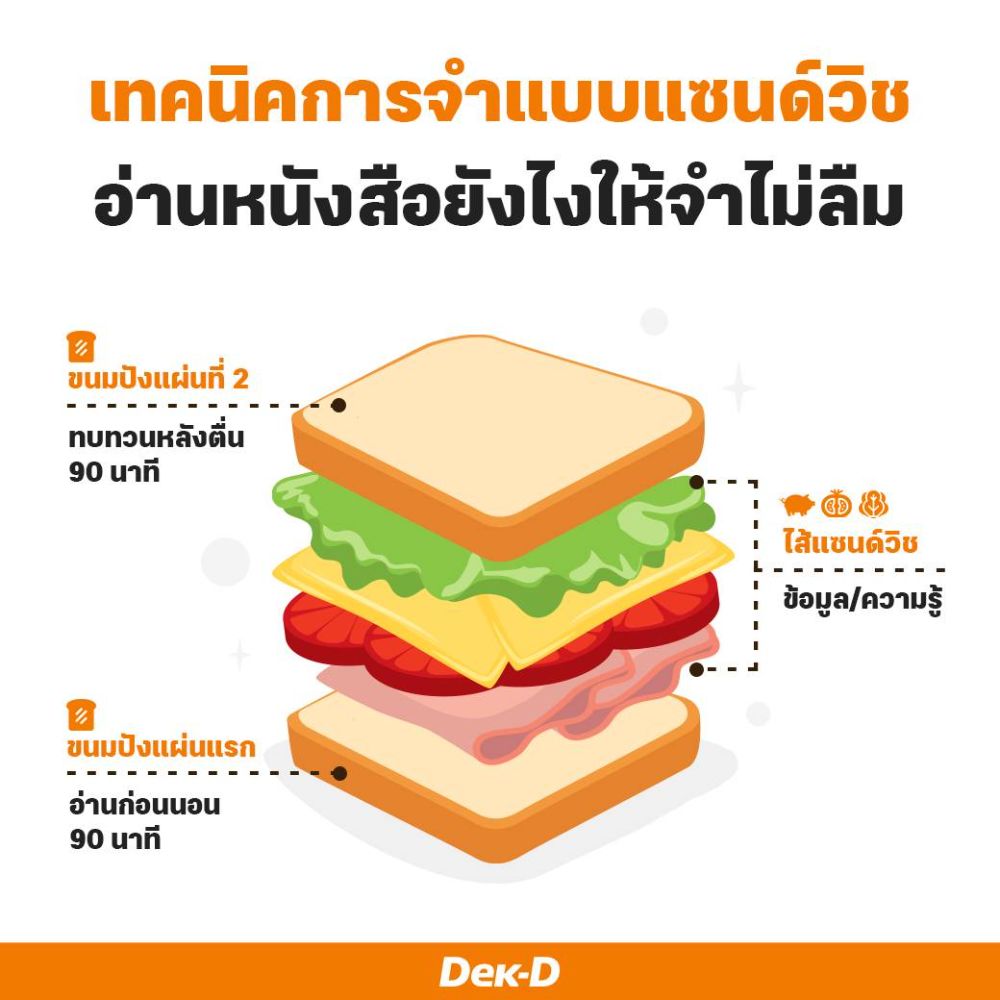 เทคนิคการจำแบบแซนด์วิช อ่านหนังสือยังไงให้จำไม่ลืม