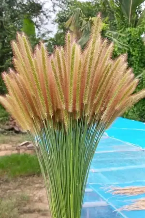 ปกนิยาย ถูกที่...ผิดเวลา...(วารุณี)