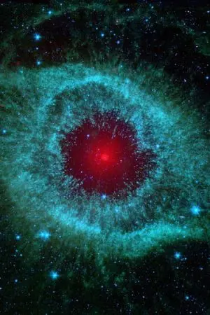 ปกนิยาย LINDFH E.D.F หายนะยุคใหม่