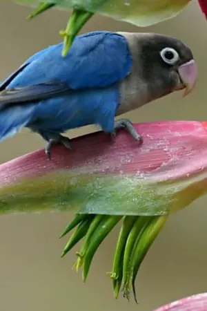 ปกนิยาย [system resources] ระบบทรัพยากร