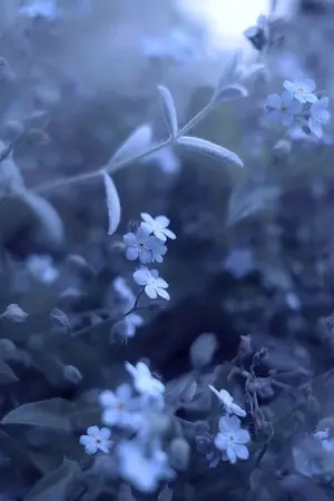 ปกนิยาย When The Sun Down - ยามตะวันสิ้นสูญ