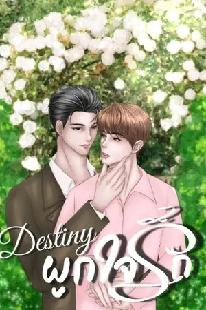 ปกนิยาย Destiny ผูกใจรัก