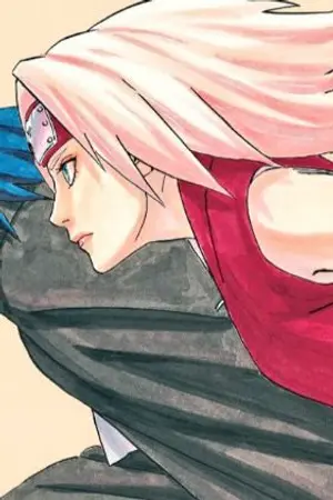 ปกนิยาย ซากุระในโลกวันพีช