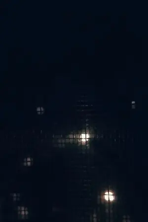 ปกนิยาย ประกายแสงที่ภาพลวง(หยุดอัพ)