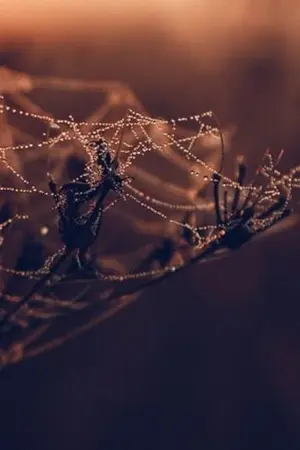 ปกนิยาย Deep in love