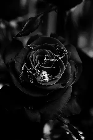 ปกนิยาย Millennial black rose