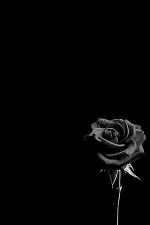 ปกนิยาย hometown บ้านเกิดที่แสนเลวร้าย| Darkmeta