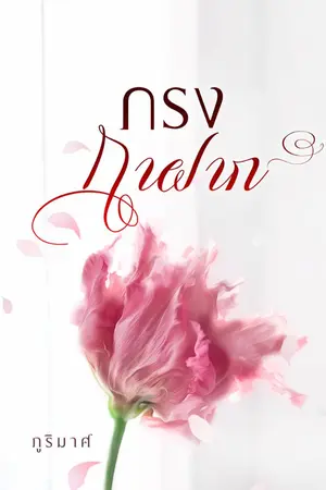 ปกนิยาย