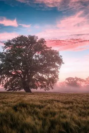 ปกนิยาย สมควรแล้ว