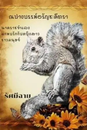 ปกนิยาย