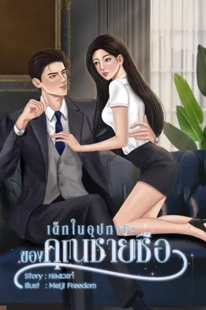 ปกนิยาย